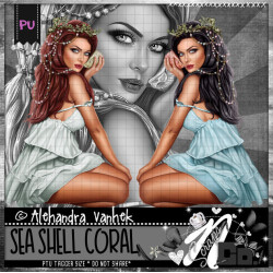 Seashell Coral Seashell Coral