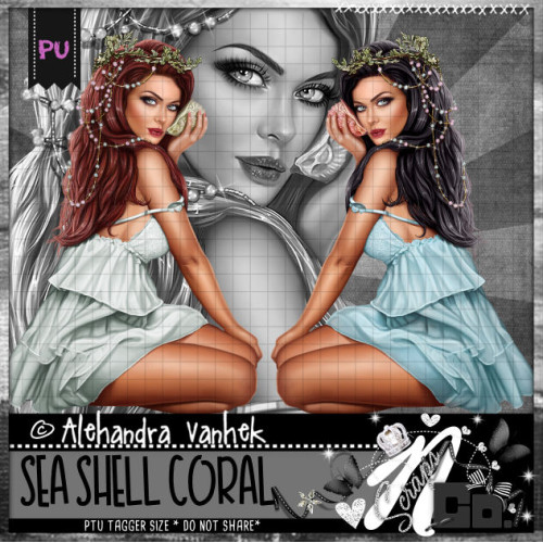 Seashell Coral