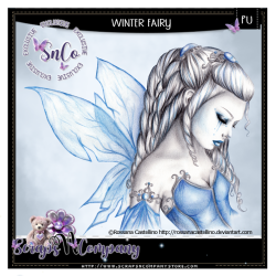 Winter Fairy Winter Fairy