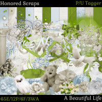HS A Beautiful Life - Tagger HS A Beautiful Life - Tagger