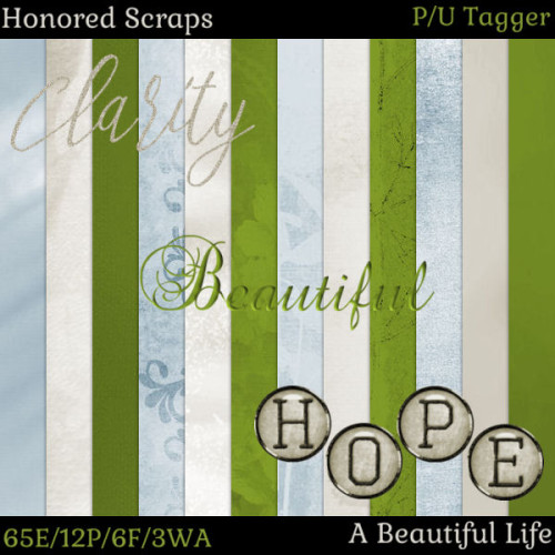HS A Beautiful Life - Tagger HS A Beautiful Life - Tagger