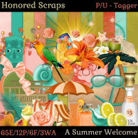 HS A Summer Welcome _ Tagger