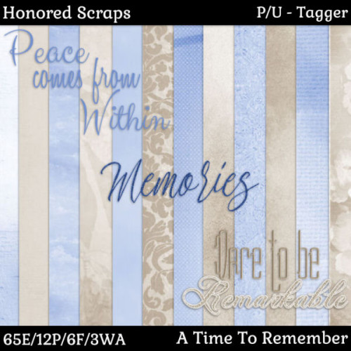 HS A Time To Remember - Tagger HS A Time To Remember - Tagger