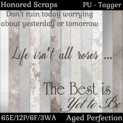 HS Aged Perfection - Tagger