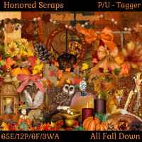 HS All Fall Down - Tagger