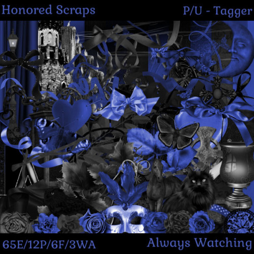 HS Always Watching - Tagger