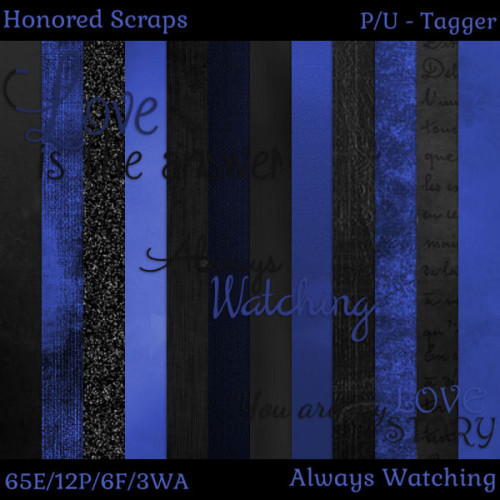 HS Always Watching - Tagger