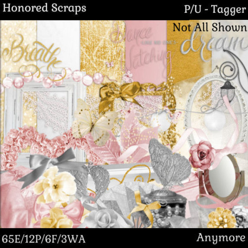 HS Anymore - Tagger