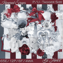 HS Be Honest - Tagger HS Be Honest - Tagger