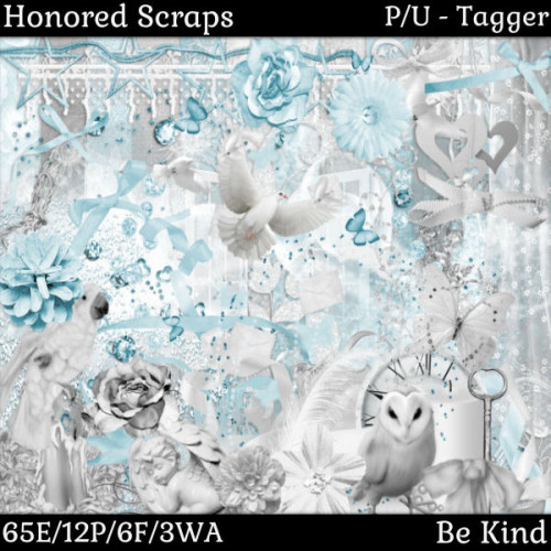 HS Be Kind - Tagger HS Be Kind - Tagger