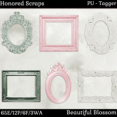 HS Beautiful Blossom - Tagger