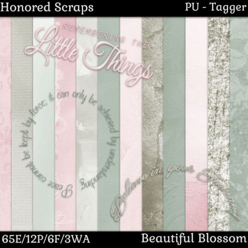 HS Beautiful Blossom - Tagger