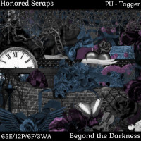 HS Beyond the Darkness - Tagger