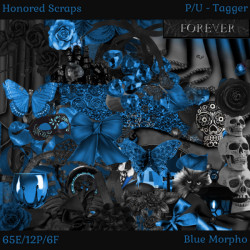 HS Blue Morpho - Tagger HS Blue Morpho - Tagger
