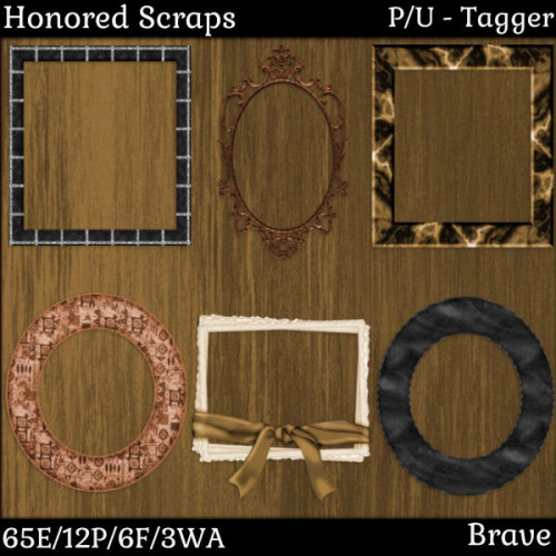 HS Brave - Tagger