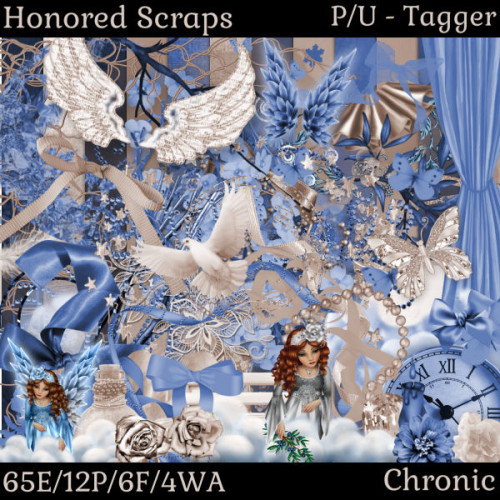 HS Chronic - Tagger HS Chronic - Tagger