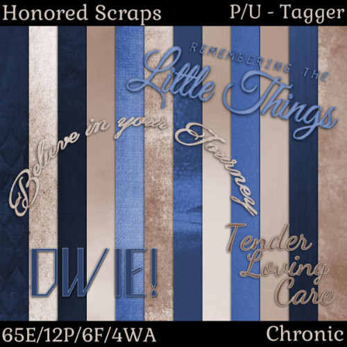 HS Chronic - Tagger HS Chronic - Tagger
