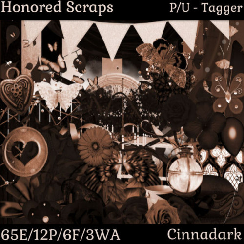 HS Cinnadark - Tagger