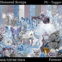 HS Forever - Tagger