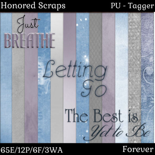 HS Forever - Tagger HS Forever - Tagger