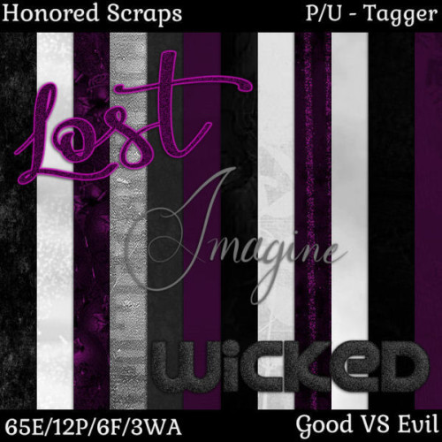 HS Good VS Evil - Tagger