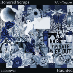 HS Haunted - Tagger HS Haunted - Tagger