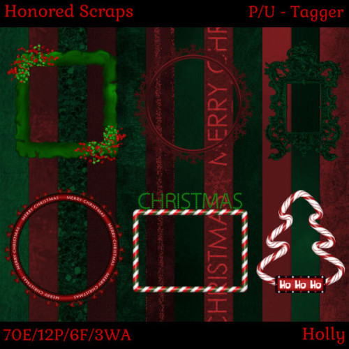 HS Holly - Tagger