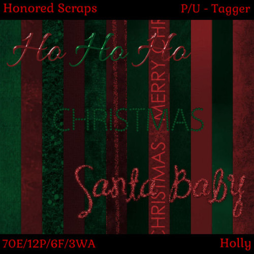 HS Holly - Tagger