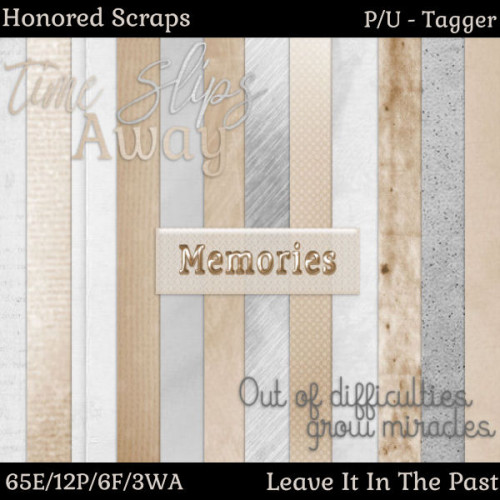 HS Leave it in the Past - Tagger HS Leave it in the Past - Tagger