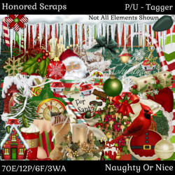 HS Naughty Or Nice - Tagger HS Naughty Or Nice - Tagger