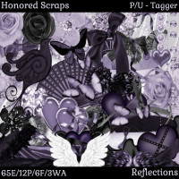HS Reflections - Tagger