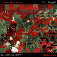 HS Resilience - Tagger HS Resilience - Tagger