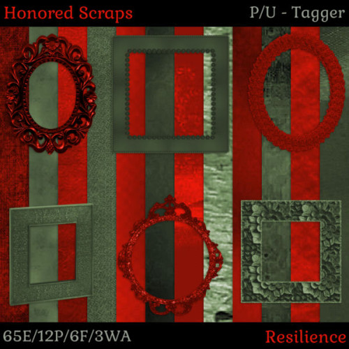 HS Resilience - Tagger HS Resilience - Tagger