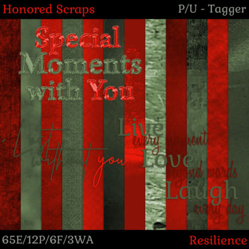 HS Resilience - Tagger HS Resilience - Tagger