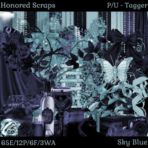HS Sky Blue - Tagger HS Sky Blue - Tagger