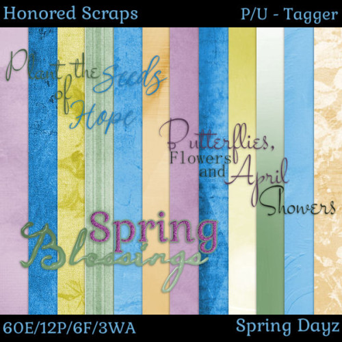 HS Spring Dayz - Tagger