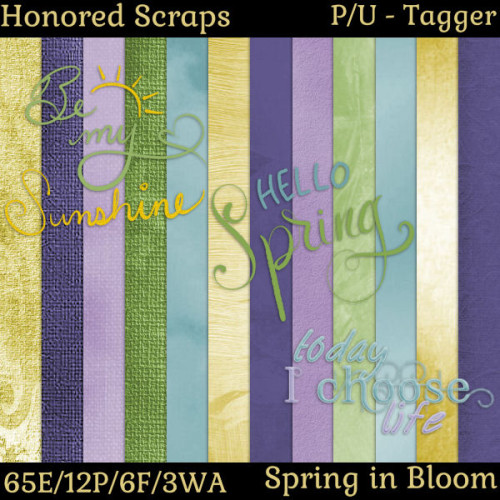 HS Spring in Bloom - Tagger