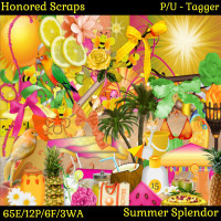HS Summer Splendor - Tagger