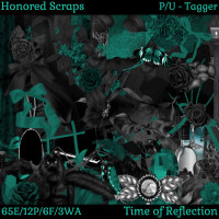 HS Time of Reflection - Tagger