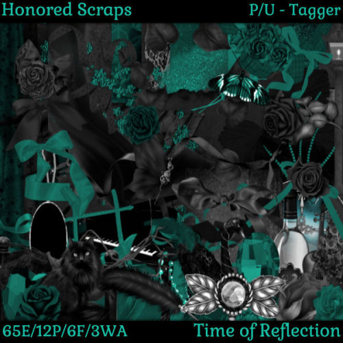 HS Time of Reflection - Tagger HS Time of Reflection - Tagger