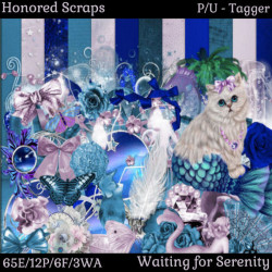 HS Waiting for Serenity - Tagger HS Waiting for Serenity - Tagger