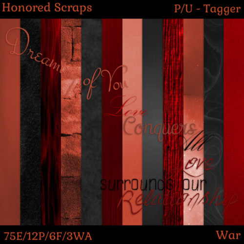HS War - Tagger
