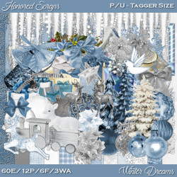 HS Winter Dreams - Taqgger