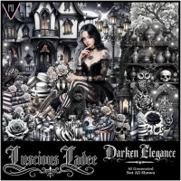 Darken Elegance Darken Elegance