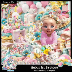 Baby's 1st Birthday