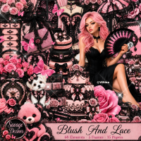 Blush And Lace Kit