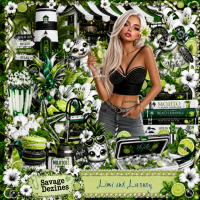 Lime adn Luxury Kit Match Lime adn Luxury Kit Match