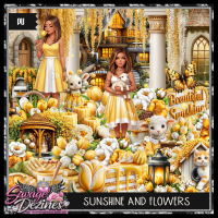 Sunshine And Flowers Kit