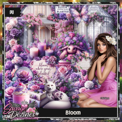 Bloom Bloom