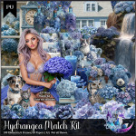 Hydrangea Match Kit